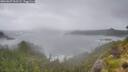 ./images/calvert/foggy-cove/20260627/foggy-cove20260627_061501M.jpg