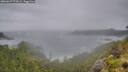 ./images/calvert/foggy-cove/20260627/foggy-cove20260627_073001M.jpg