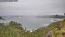 ./images/calvert/foggy-cove/20260627/foggy-cove20260627_104501M.jpg