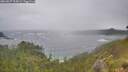 ./images/calvert/foggy-cove/20260627/foggy-cove20260627_105001M.jpg