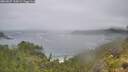 ./images/calvert/foggy-cove/20260627/foggy-cove20260627_110001M.jpg