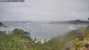 ./images/calvert/foggy-cove/20260627/foggy-cove20260627_110501M.jpg