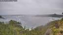 ./images/calvert/foggy-cove/20260627/foggy-cove20260627_111001M.jpg