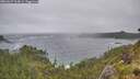 ./images/calvert/foggy-cove/20260627/foggy-cove20260627_114001M.jpg