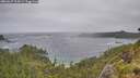 ./images/calvert/foggy-cove/20260627/foggy-cove20260627_114501M.jpg