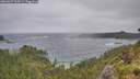 ./images/calvert/foggy-cove/20260627/foggy-cove20260627_115001M.jpg