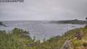 ./images/calvert/foggy-cove/20260627/foggy-cove20260627_115501M.jpg