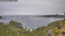 ./images/calvert/foggy-cove/20260627/foggy-cove20260627_120001M.jpg