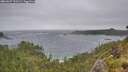 ./images/calvert/foggy-cove/20260627/foggy-cove20260627_120502M.jpg