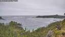 ./images/calvert/foggy-cove/20260627/foggy-cove20260627_122001M.jpg