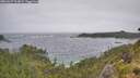 ./images/calvert/foggy-cove/20260627/foggy-cove20260627_123001M.jpg