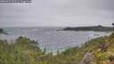 ./images/calvert/foggy-cove/20260627/foggy-cove20260627_123501M.jpg