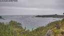 ./images/calvert/foggy-cove/20260627/foggy-cove20260627_124001M.jpg