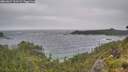 ./images/calvert/foggy-cove/20260627/foggy-cove20260627_125501M.jpg