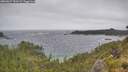 ./images/calvert/foggy-cove/20260627/foggy-cove20260627_131501M.jpg