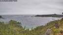 ./images/calvert/foggy-cove/20260627/foggy-cove20260627_132001M.jpg