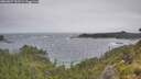 ./images/calvert/foggy-cove/20260627/foggy-cove20260627_132501M.jpg