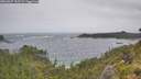 ./images/calvert/foggy-cove/20260627/foggy-cove20260627_133501M.jpg