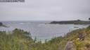 ./images/calvert/foggy-cove/20260627/foggy-cove20260627_141001M.jpg