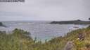 ./images/calvert/foggy-cove/20260627/foggy-cove20260627_142001M.jpg