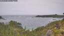 ./images/calvert/foggy-cove/20260627/foggy-cove20260627_143001M.jpg