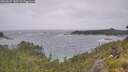 ./images/calvert/foggy-cove/20260627/foggy-cove20260627_145501M.jpg