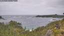 ./images/calvert/foggy-cove/20260627/foggy-cove20260627_150501M.jpg