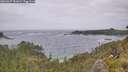 ./images/calvert/foggy-cove/20260627/foggy-cove20260627_151001M.jpg