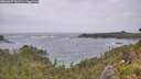 ./images/calvert/foggy-cove/20260627/foggy-cove20260627_151501M.jpg
