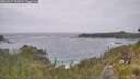 ./images/calvert/foggy-cove/20260627/foggy-cove20260627_152002M.jpg