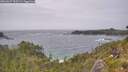 ./images/calvert/foggy-cove/20260627/foggy-cove20260627_153501M.jpg