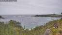 ./images/calvert/foggy-cove/20260627/foggy-cove20260627_154501M.jpg