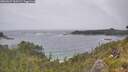 ./images/calvert/foggy-cove/20260627/foggy-cove20260627_160501M.jpg