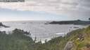 ./images/calvert/foggy-cove/20260627/foggy-cove20260627_183501M.jpg