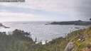 ./images/calvert/foggy-cove/20260627/foggy-cove20260627_185501M.jpg