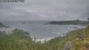 ./images/calvert/foggy-cove/20260628/foggy-cove20260628_052501M.jpg