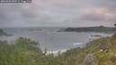 ./images/calvert/foggy-cove/20260628/foggy-cove20260628_053501M.jpg