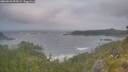 ./images/calvert/foggy-cove/20260628/foggy-cove20260628_054501M.jpg