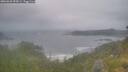 ./images/calvert/foggy-cove/20260628/foggy-cove20260628_055001M.jpg