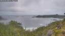 ./images/calvert/foggy-cove/20260628/foggy-cove20260628_060001M.jpg