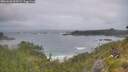 ./images/calvert/foggy-cove/20260628/foggy-cove20260628_060501M.jpg
