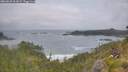 ./images/calvert/foggy-cove/20260628/foggy-cove20260628_061001M.jpg
