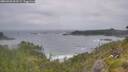 ./images/calvert/foggy-cove/20260628/foggy-cove20260628_061501M.jpg