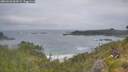 ./images/calvert/foggy-cove/20260628/foggy-cove20260628_062001M.jpg