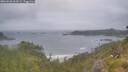 ./images/calvert/foggy-cove/20260628/foggy-cove20260628_063501M.jpg