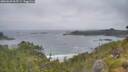 ./images/calvert/foggy-cove/20260628/foggy-cove20260628_065501M.jpg