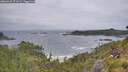 ./images/calvert/foggy-cove/20260628/foggy-cove20260628_071002M.jpg