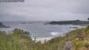 ./images/calvert/foggy-cove/20260628/foggy-cove20260628_071502M.jpg