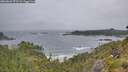 ./images/calvert/foggy-cove/20260628/foggy-cove20260628_072501M.jpg
