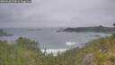 ./images/calvert/foggy-cove/20260628/foggy-cove20260628_073001M.jpg